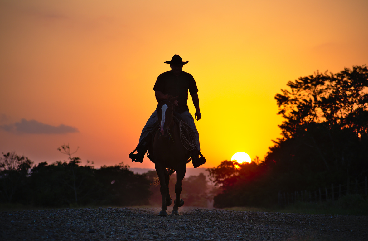 Cowboy Riding His Horse at Sunset